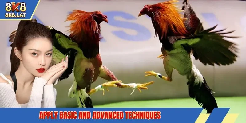 Apply basic and advanced techniques