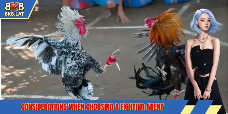 Considerations when choosing a fighting arena