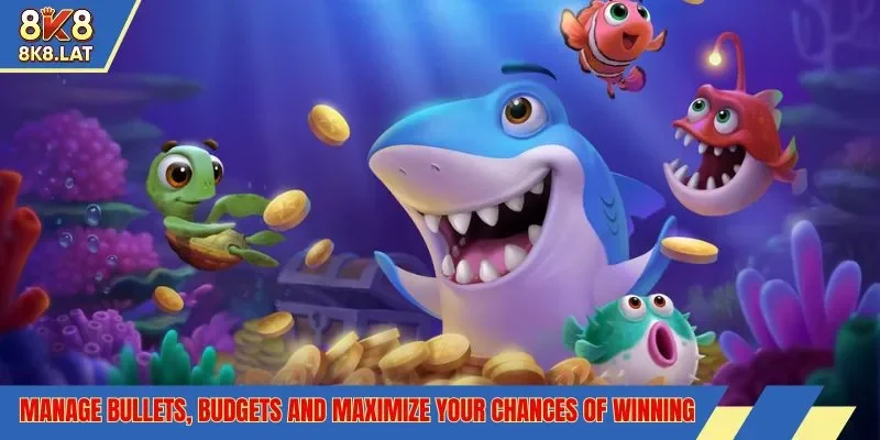 Manage bullets, budgets and maximize your chances of winning