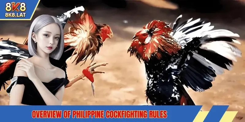 Overview of Philippine cockfighting rules
