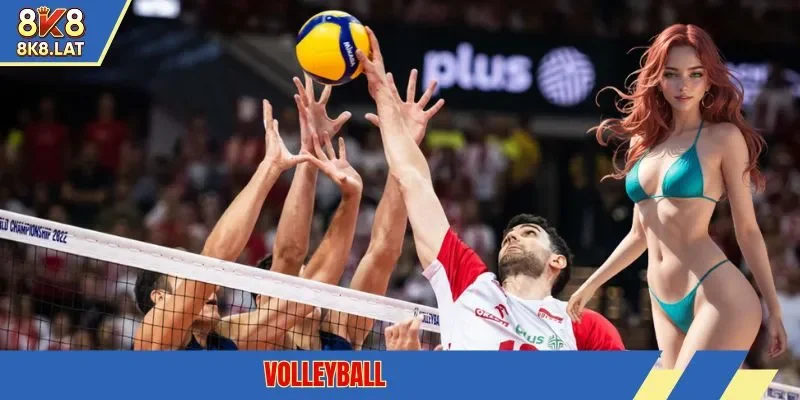 Volleyball