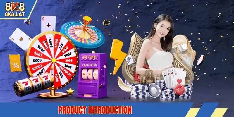 Product introduction